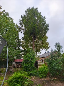Ortsbild von „PS-Baumdienste“